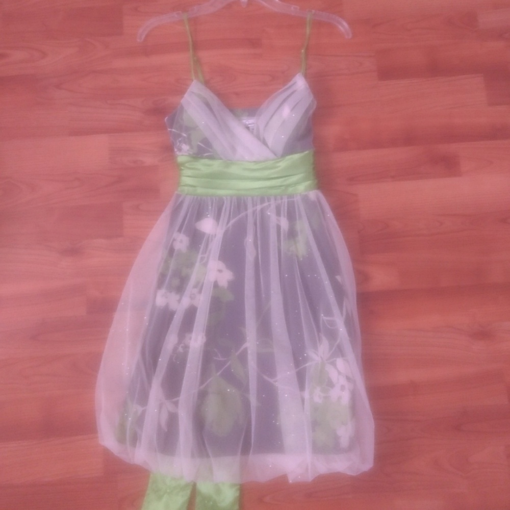 Prom/homecoming/bridal dress